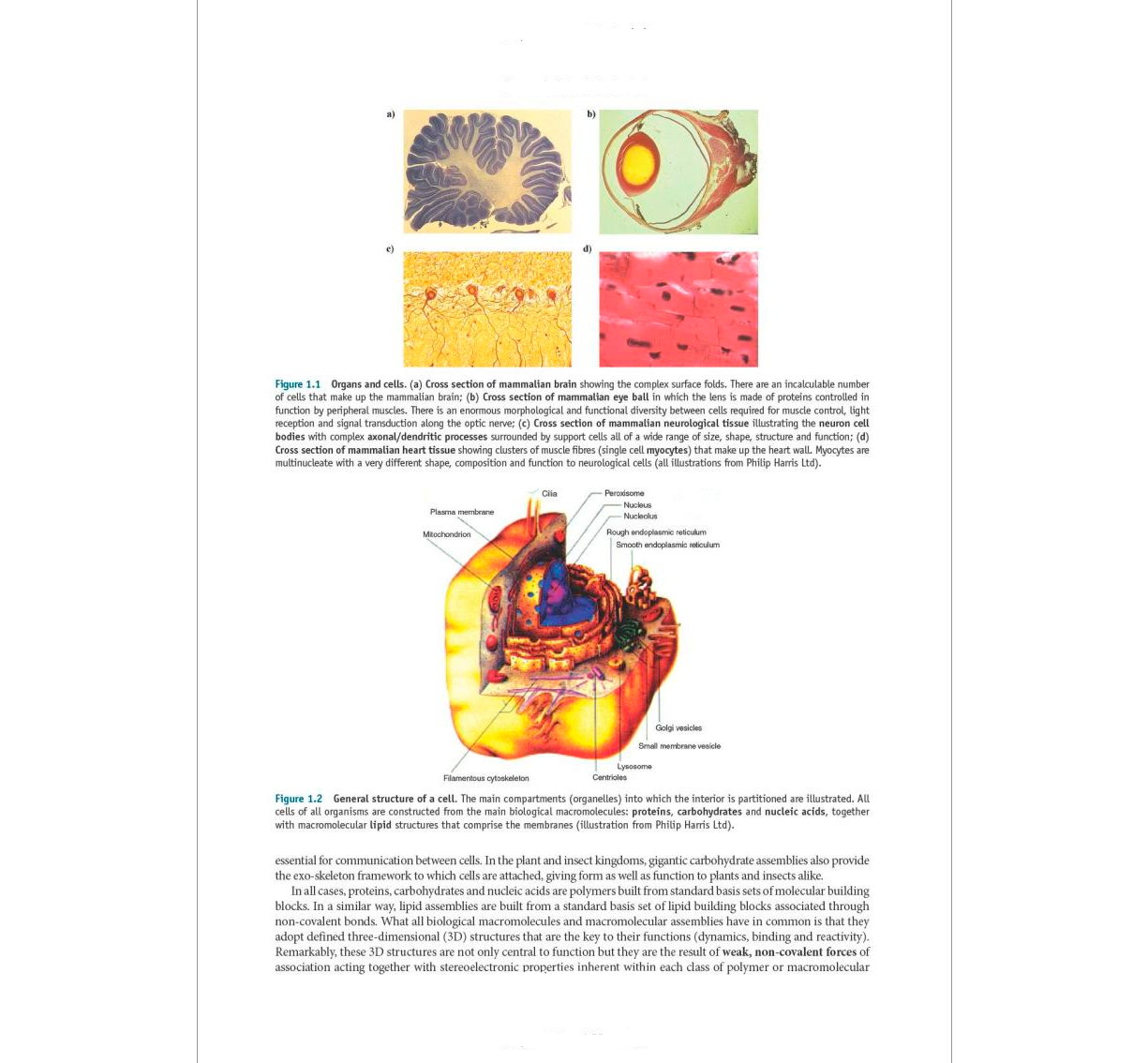 Essentials of Chemical Biology: Structures and Dynamics of Biological Macromolecules In Vitro and In Vivo 2nd Edición