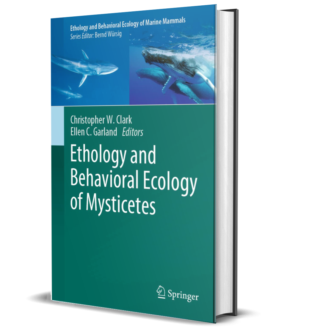 Ethology and Behavioral Ecology of Mysticetes (Ethology and Behavioral Ecology of Marine Mammals)