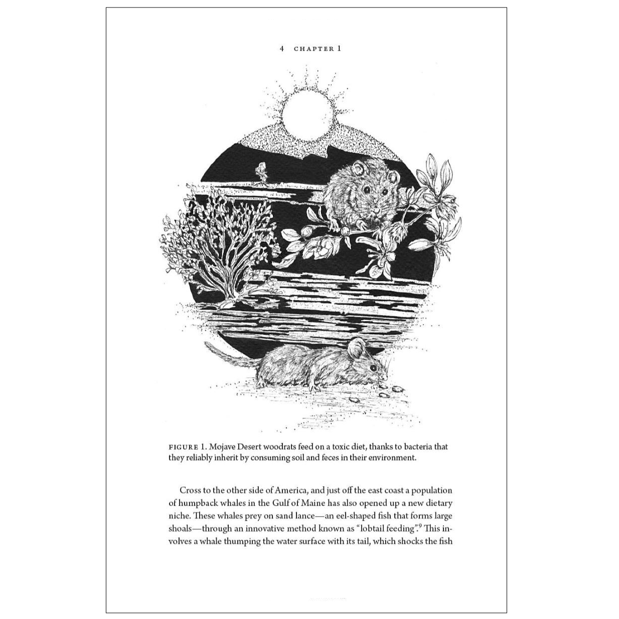 Evolution Evolving The Developmental Origins of Adaptation and Biodiversity2