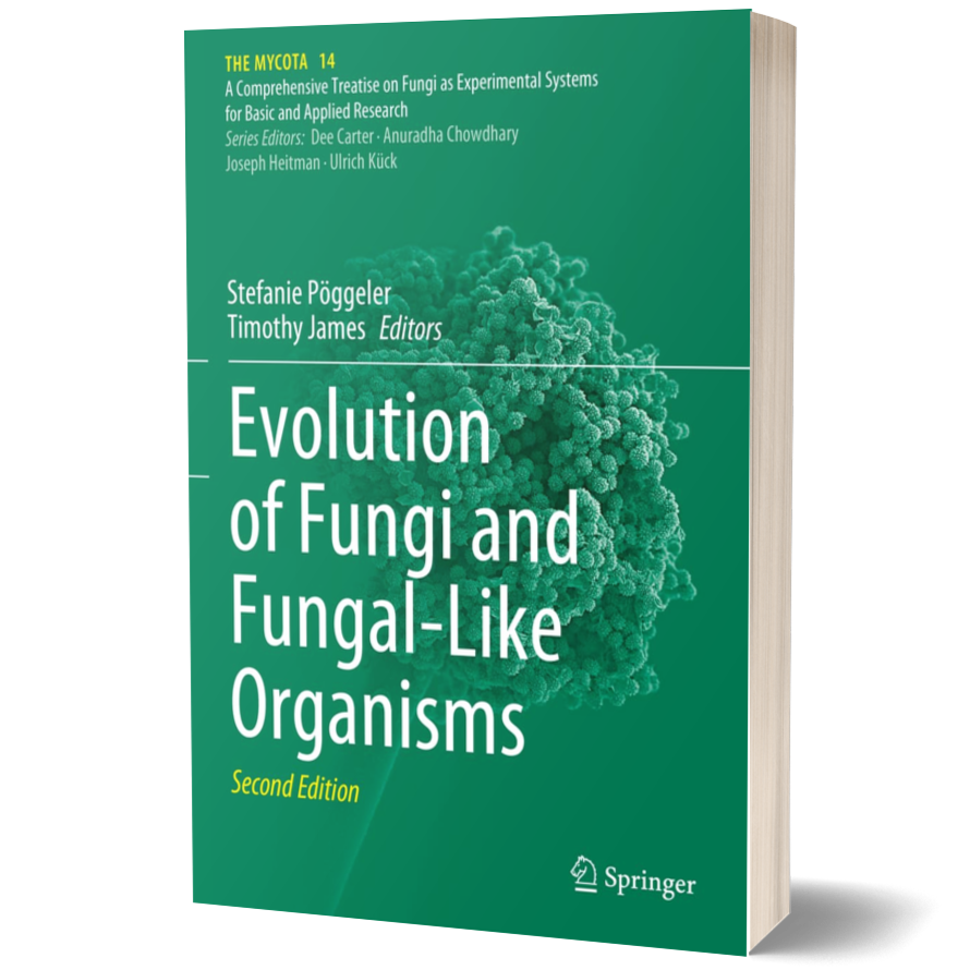 Evolution of Fungi and Fungal-Like Organisms (The Mycota, 14)