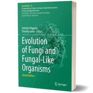 Evolution of Fungi and Fungal-Like Organisms (The Mycota, 14)