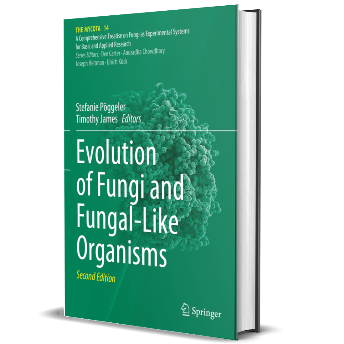 Evolution of Fungi and Fungal-Like Organisms (The Mycota, 14)