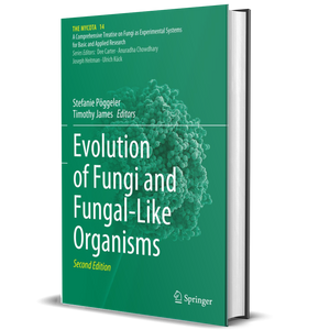 Evolution of Fungi and Fungal-Like Organisms (The Mycota, 14)