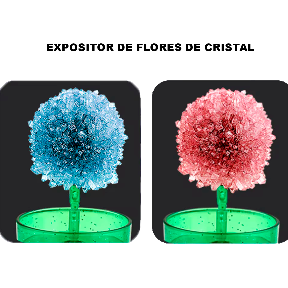 Experimento Científico de Plantio de Cristal DIY Criativo em Forma de Flor de Árvore de Cristal Divertido de Conjunto de Experimento Pai-Filho de Cor Aleatória (+6)