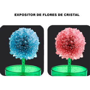 Experimento Científico de Plantio de Cristal DIY Criativo em Forma de Flor de Árvore de Cristal Divertido de Conjunto de Experimento Pai-Filho de Cor Aleatória (+6)