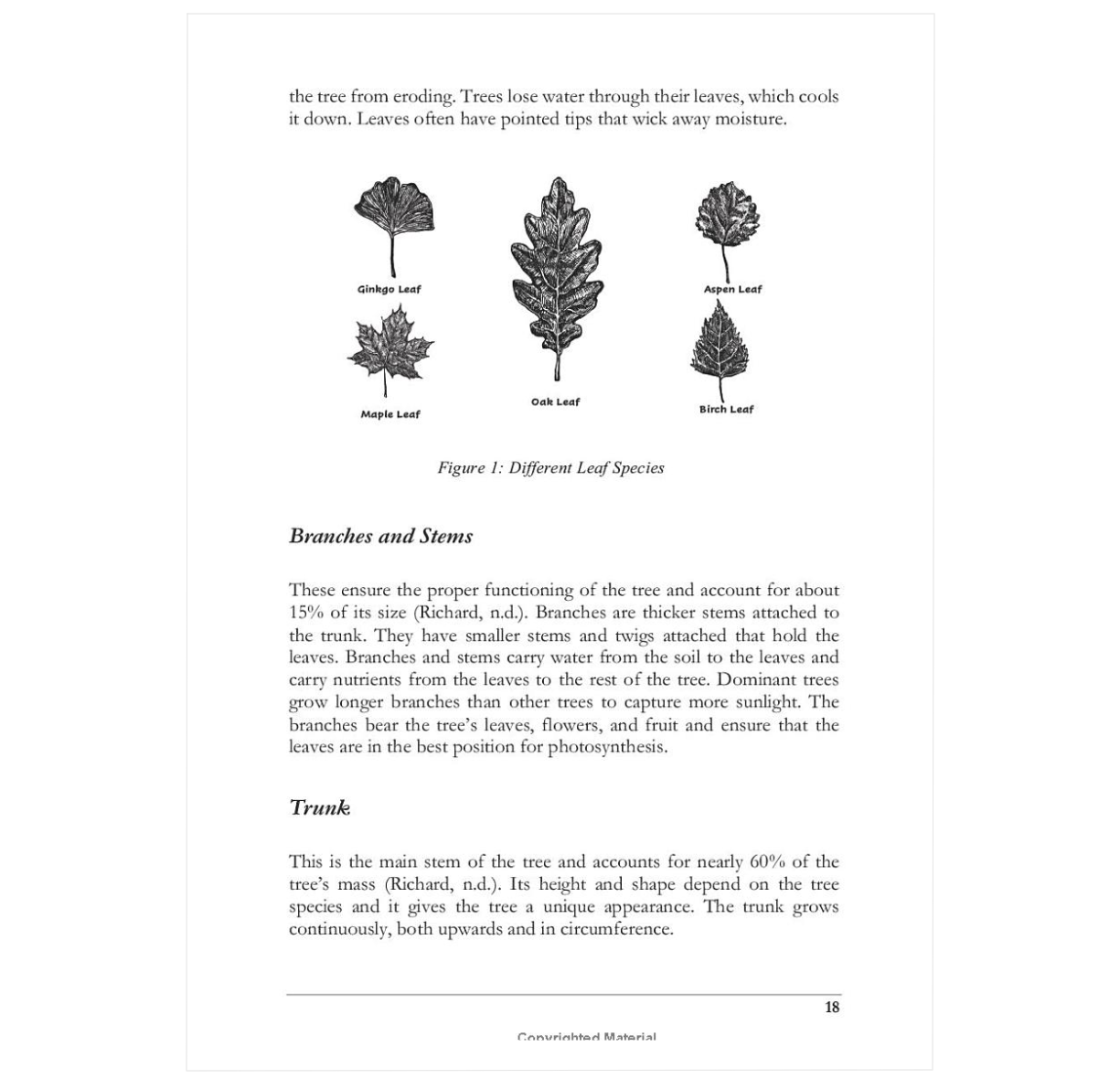 Explore The Secret Nature of Trees: Fascinating Facts About Tree Communication, Science, Legends, Global Connections and More