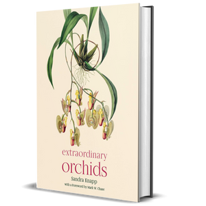 Extraordinary Orchids