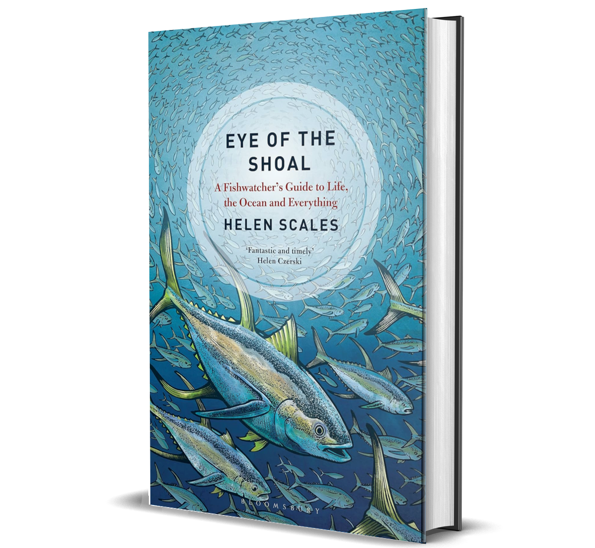 Eye of the Shoal: a Fishwatcher's Guide to Life, the Ocean and Everything