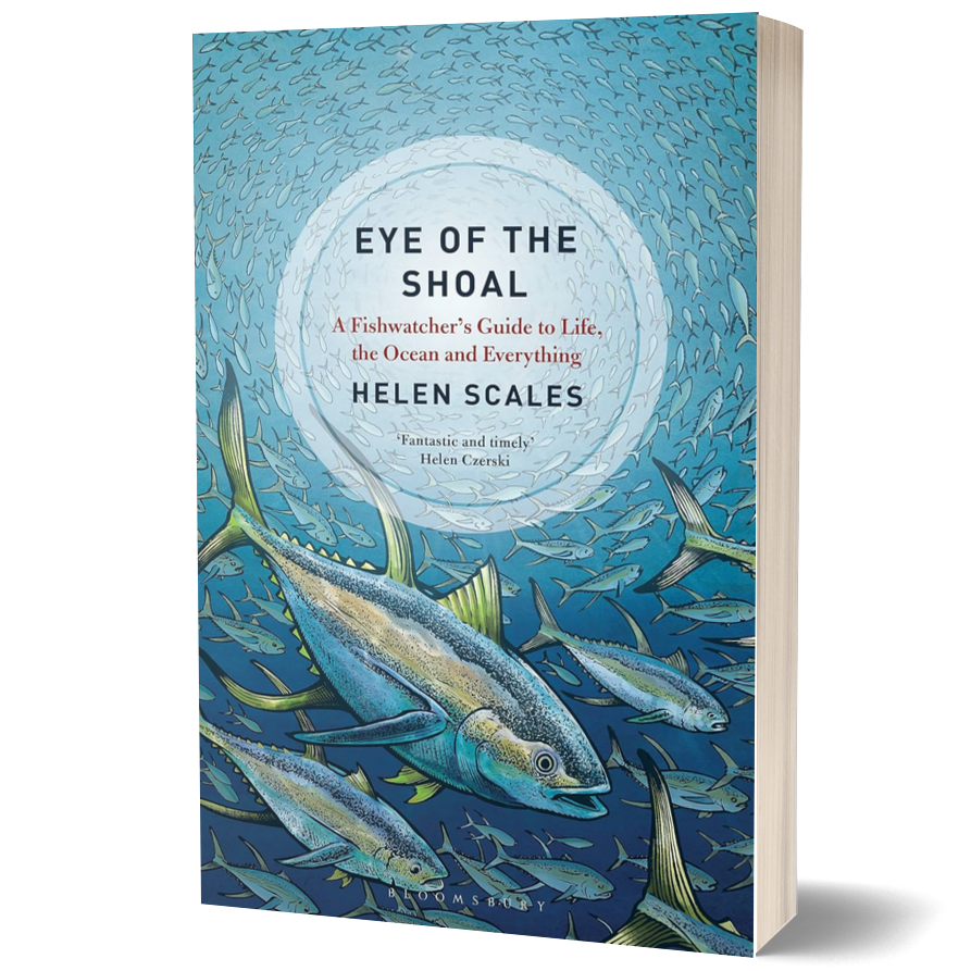 Eye of the Shoal: a Fishwatcher's Guide to Life, the Ocean and Everything