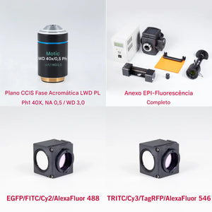 Microscopio Invertido Trinocular Motic AE31E con Filtros FITC y TRITC