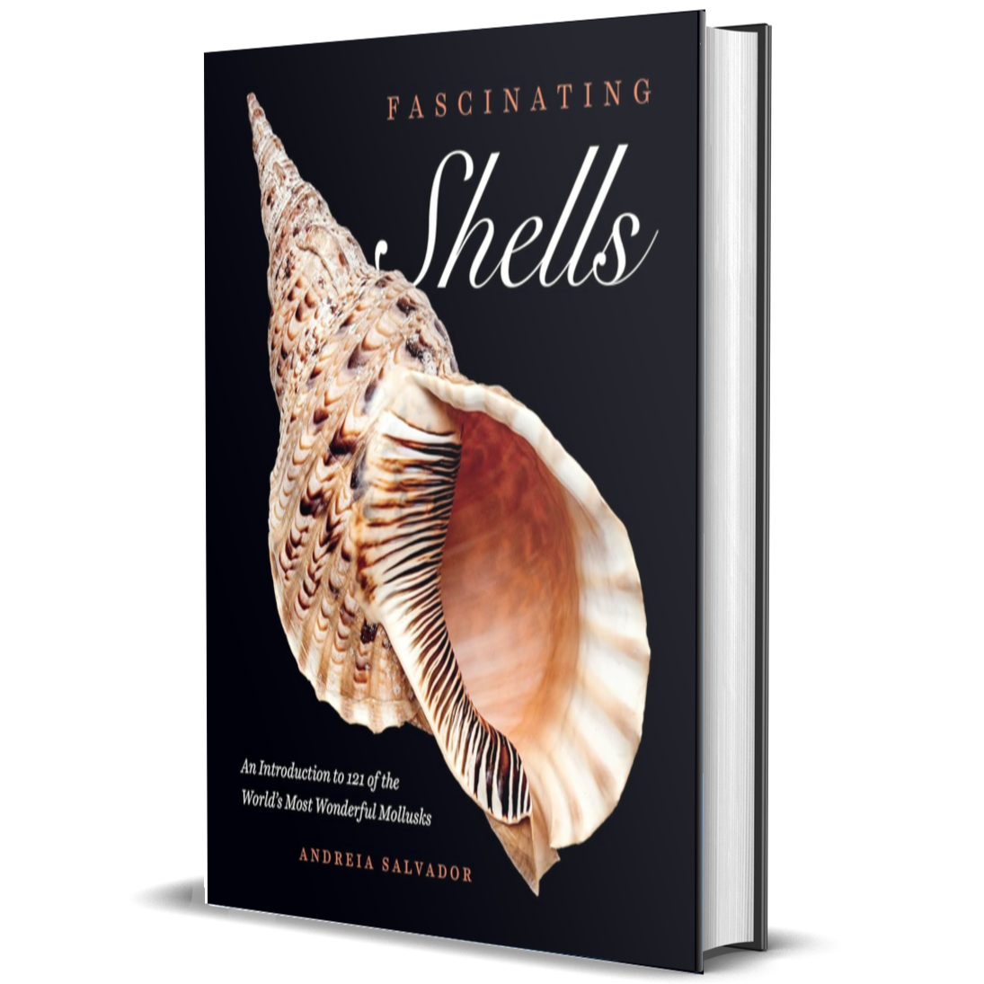 Fascinating Shells: An Introduction to 121 of the World’s Most Wonderful Mollusks