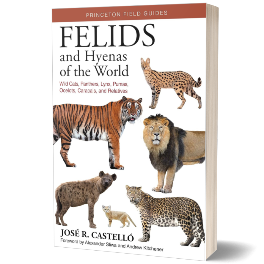 Felids and Hyenas of the World: Wildcats, Panthers, Lynx, Pumas, Ocelots, Caracals, and Relatives