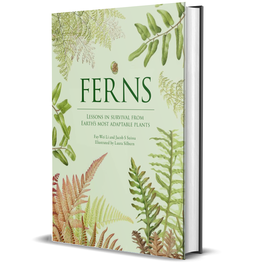 Ferns: Lessons in Survival From Earth’s Most Adaptable Plants