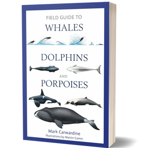 Field Guide to Whales, Dolphins and Porpoises