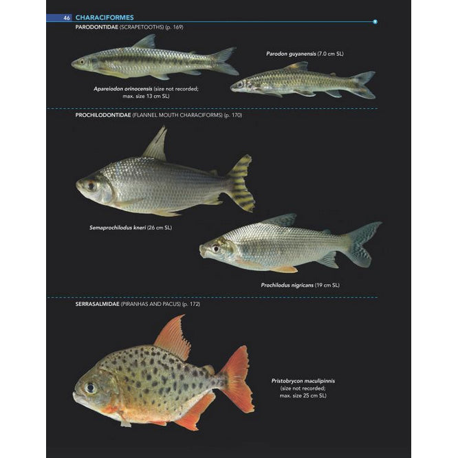 Field Guide to the Fishes of the Amazon, Orinoco, and Guianas (Princeton Field Guides)