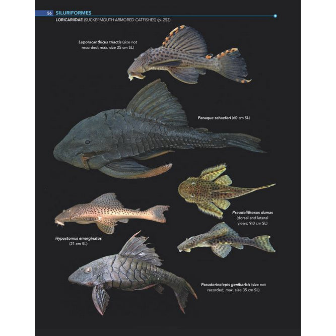 Field Guide to the Fishes of the Amazon, Orinoco, and Guianas (Princeton Field Guides)