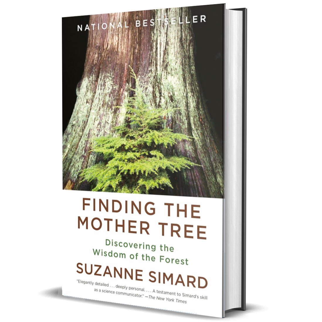 Finding the Mother Tree: Discovering the Wisdom of the Forest