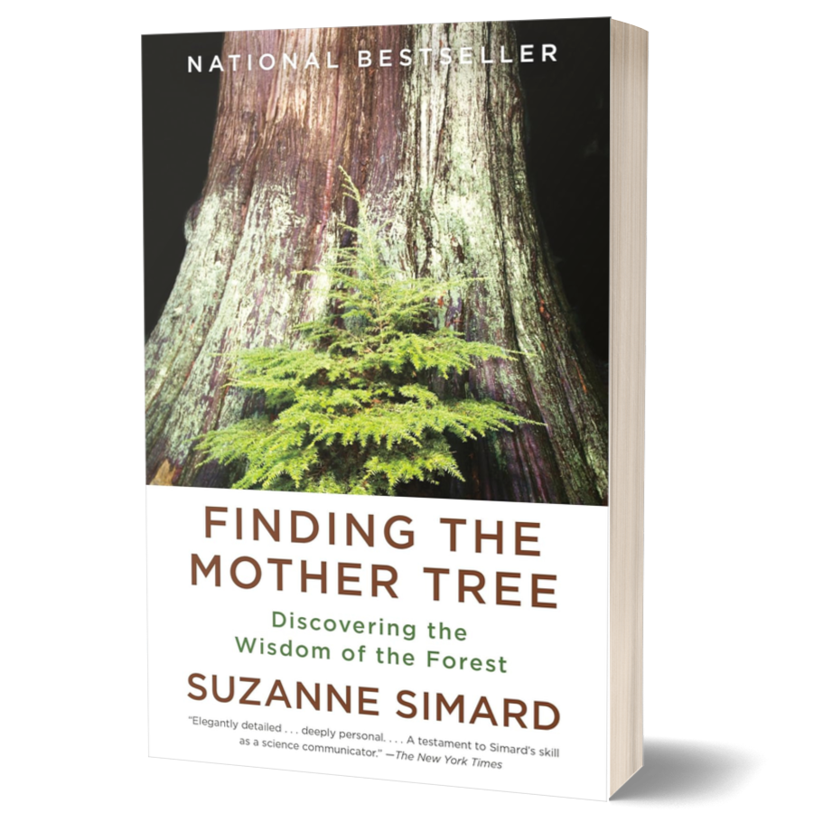 Finding the Mother Tree: Discovering the Wisdom of the Forest