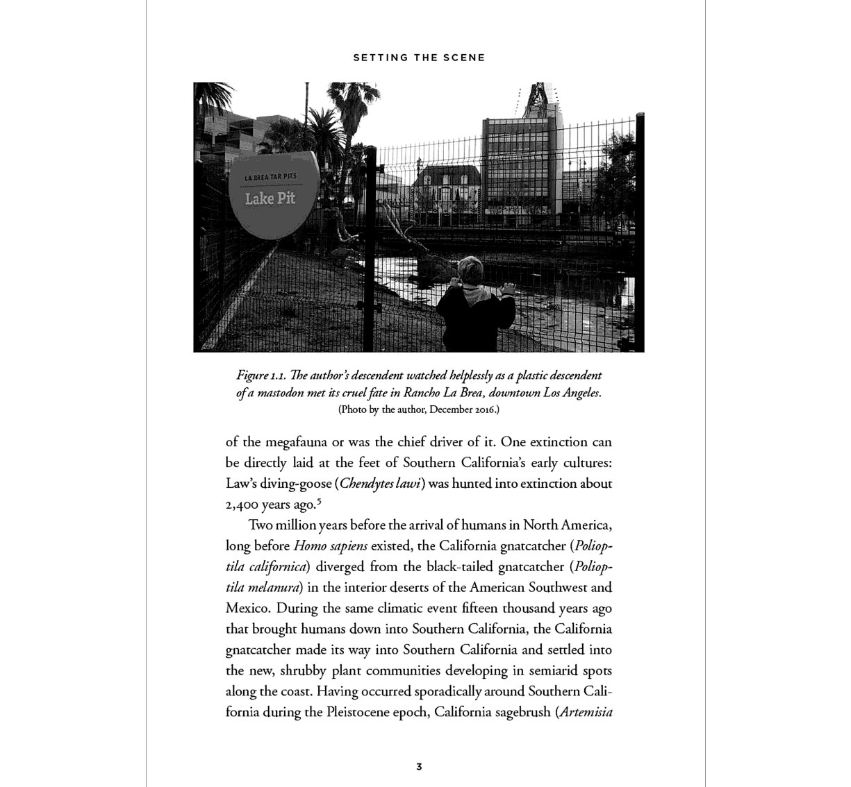 Flights of Passage An Illustrated Natural History of Bird Migration