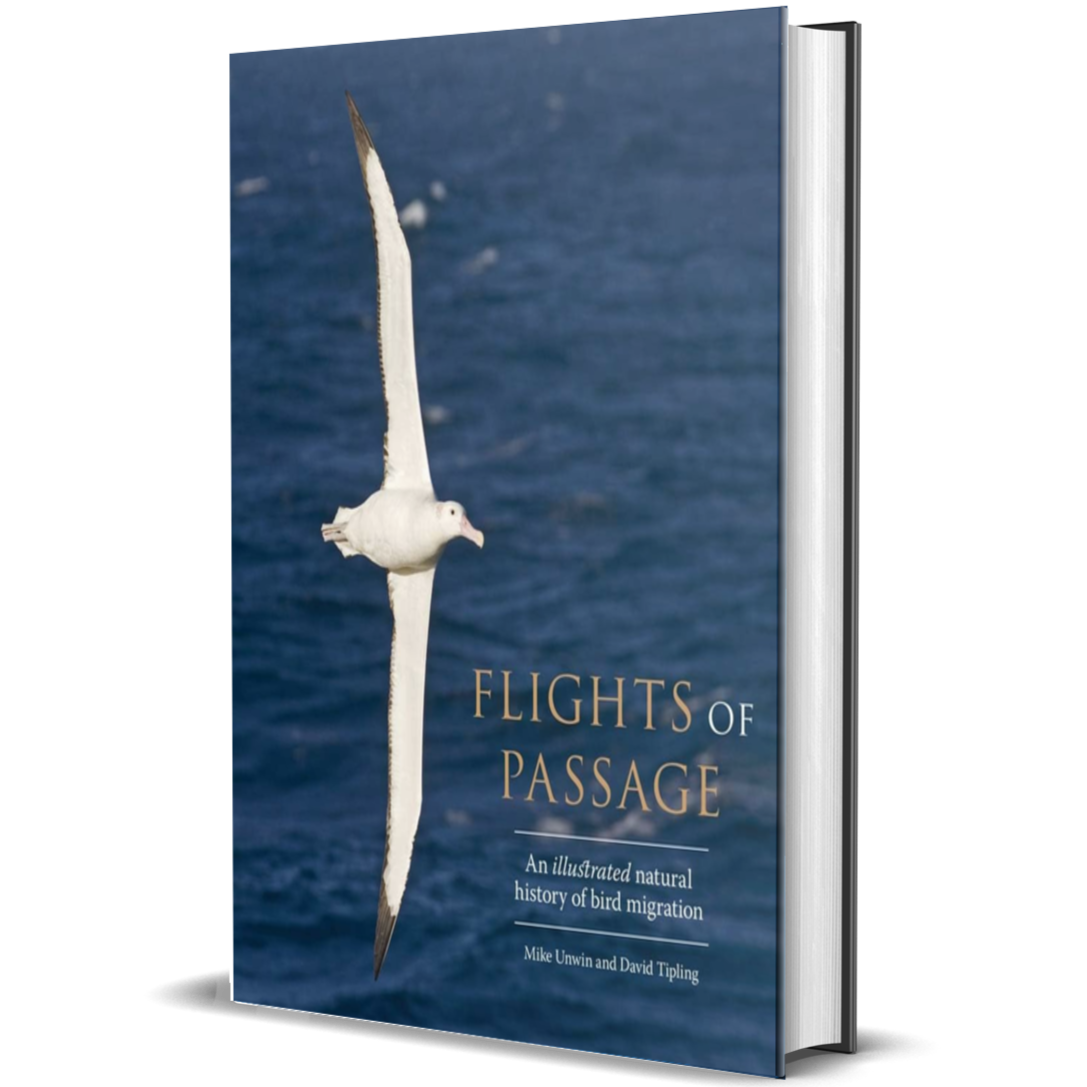 Flights of Passage An Illustrated Natural History of Bird Migration