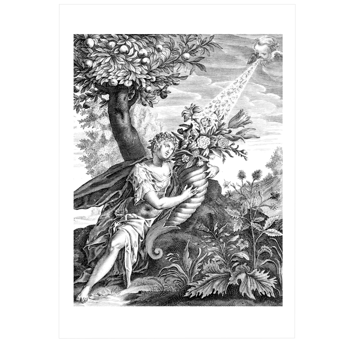 Flora Illustrata: Great Works from the LuEsther T. Mertz Library of The New York Botanical Garden