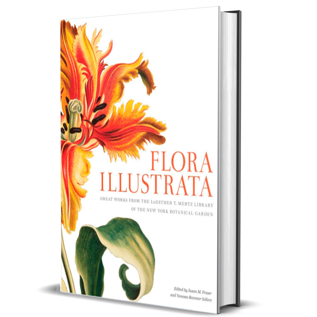Flora Illustrata: Great Works from the LuEsther T. Mertz Library of The New York Botanical Garden