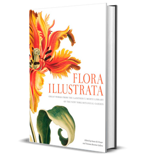 Flora Illustrata: Great Works from the LuEsther T. Mertz Library of The New York Botanical Garden
