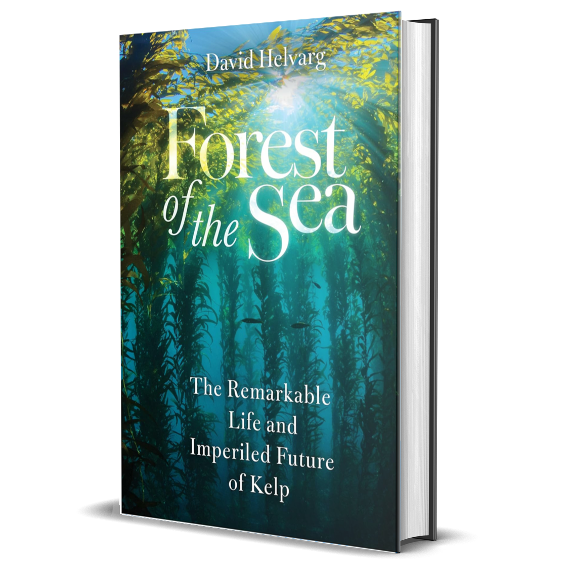 Forest of the Sea: The Remarkable Life and Imperiled Future of Kelp