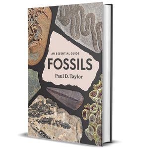 Fossils: An Essential Guide
