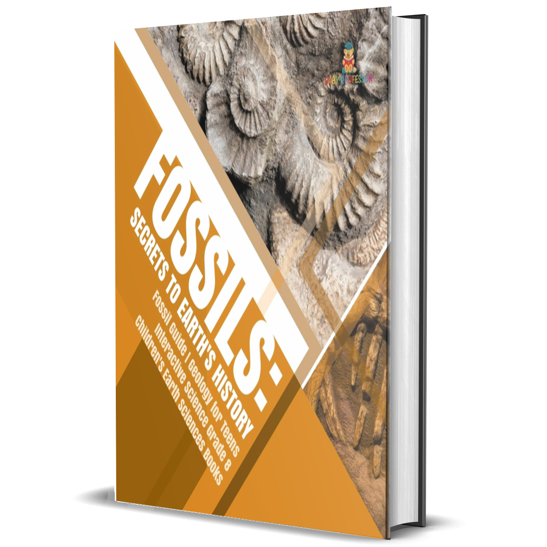 Fossils: Secrets to Earth's History, Fossil Guide, Geology for Teens, Interactive Science Grade 8, Children's Earth Sciences Books
