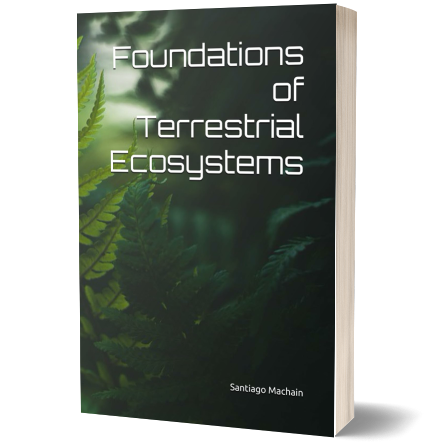 Foundations of Terrestrial Ecosystems