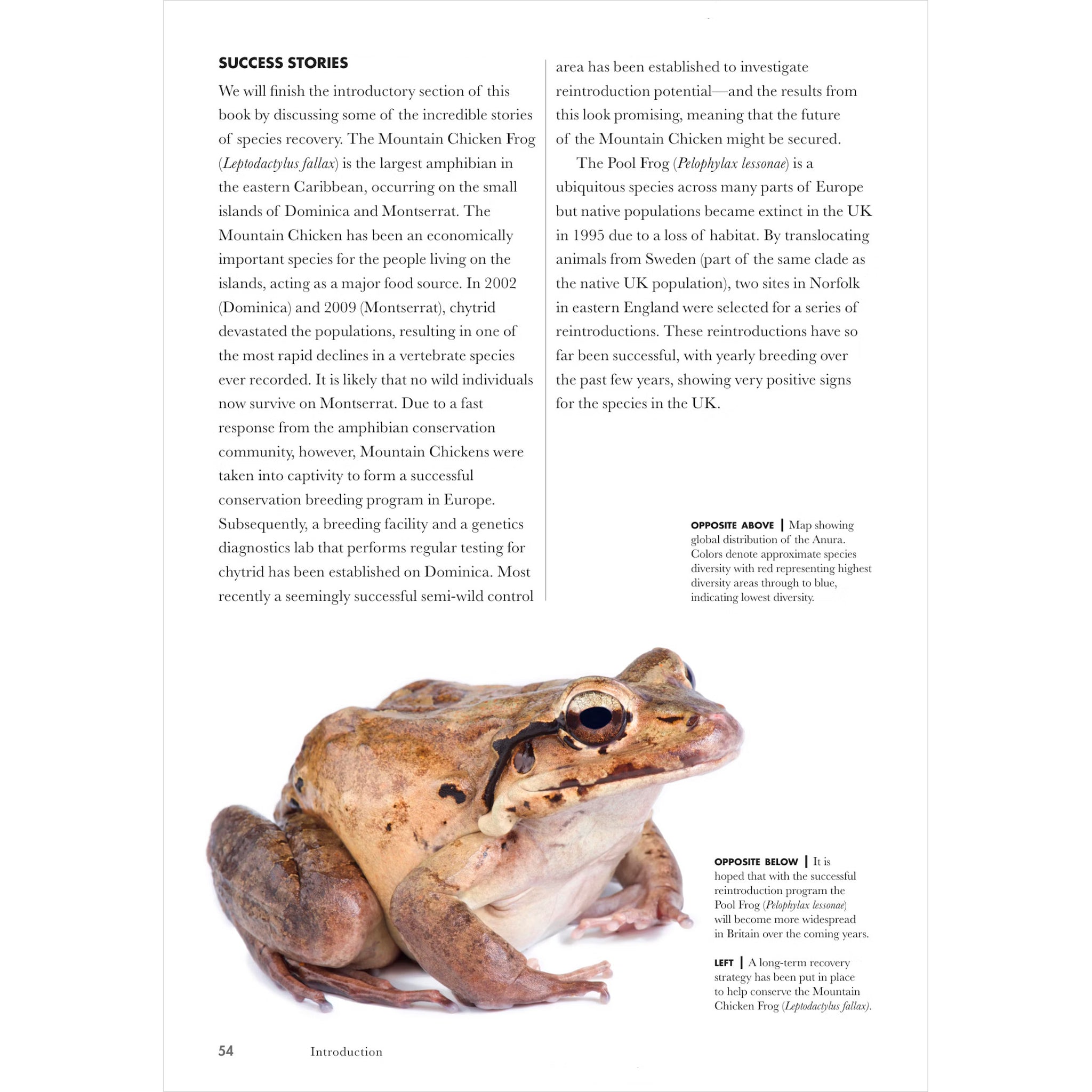 Frogs of the World A Guide to Every Family