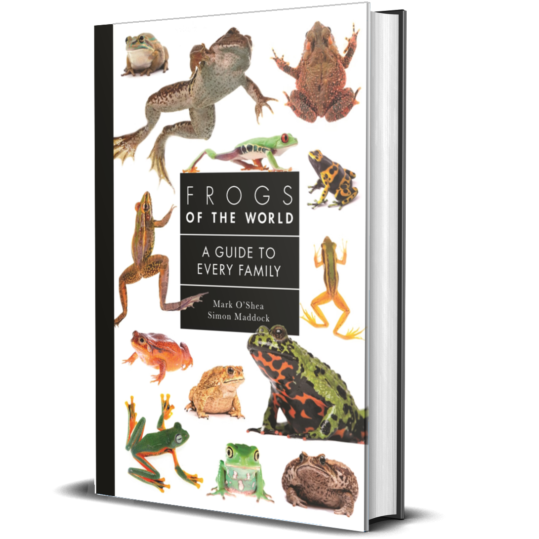Frogs of the World A Guide to Every Family