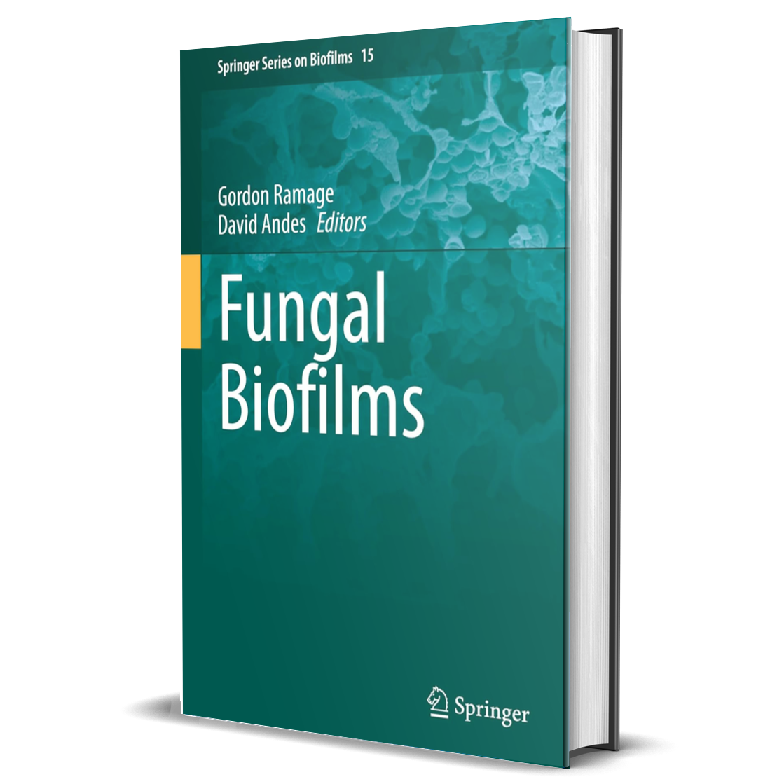 Fungal Biofilms (Springer Series on Biofilms, 15)