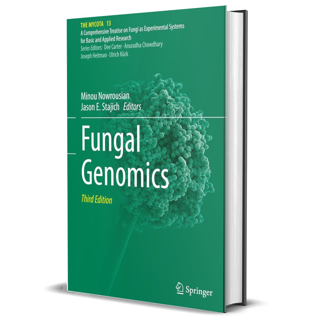 Fungal Genomics (The Mycota, 13)
