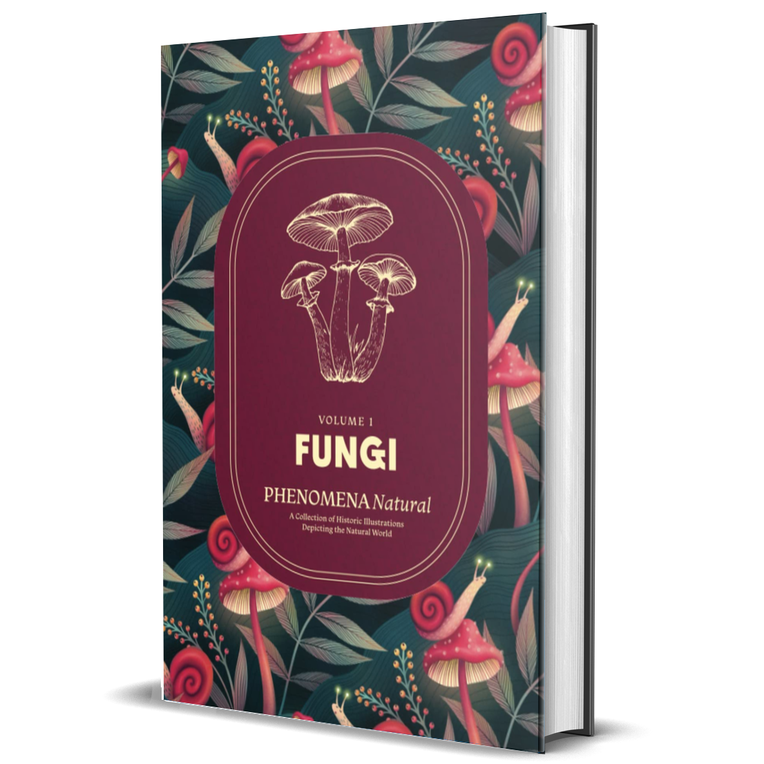 Fungi – Phenomena Natural, A Collection of Historic Illustrations Depicting the Natural World, Volume 1: Fungi Coffee Table Book of Botanical Mushroom, Field Sketches, and Paintings by Naturalists