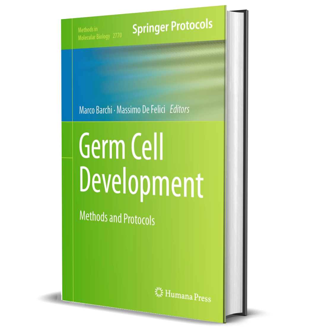 Germ Cell Development: Methods and Protocols (Methods in Molecular Biology, 2770)