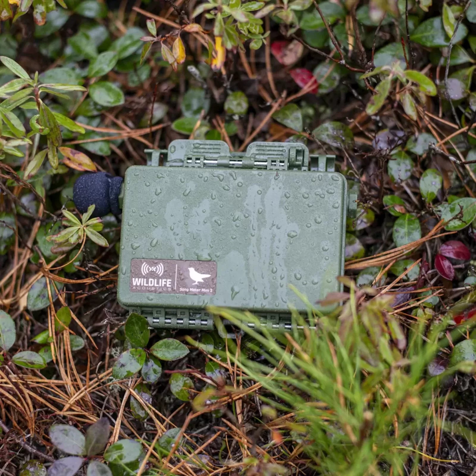 Gravador Acústico Song Meter Mini 2 AA com Microfone Integrado IP67 e até 530 Horas de Gravação