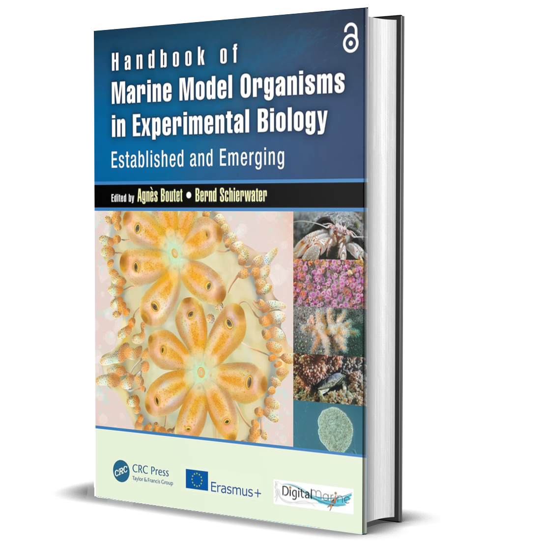Handbook of Marine Model Organisms in Experimental Biology: Established and Emerging
