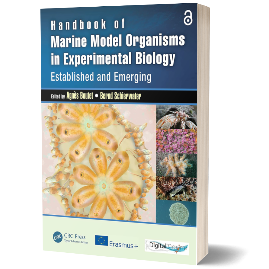 Handbook of Marine Model Organisms in Experimental Biology: Established and Emerging