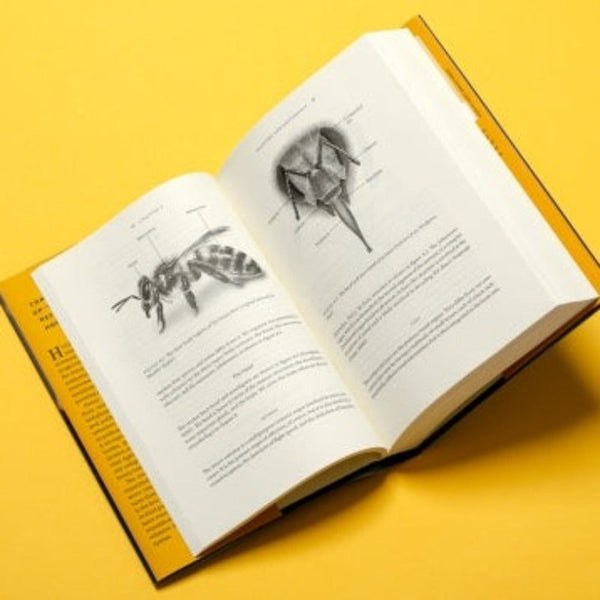 Honey Bee Biology - BIOWEB Brasil