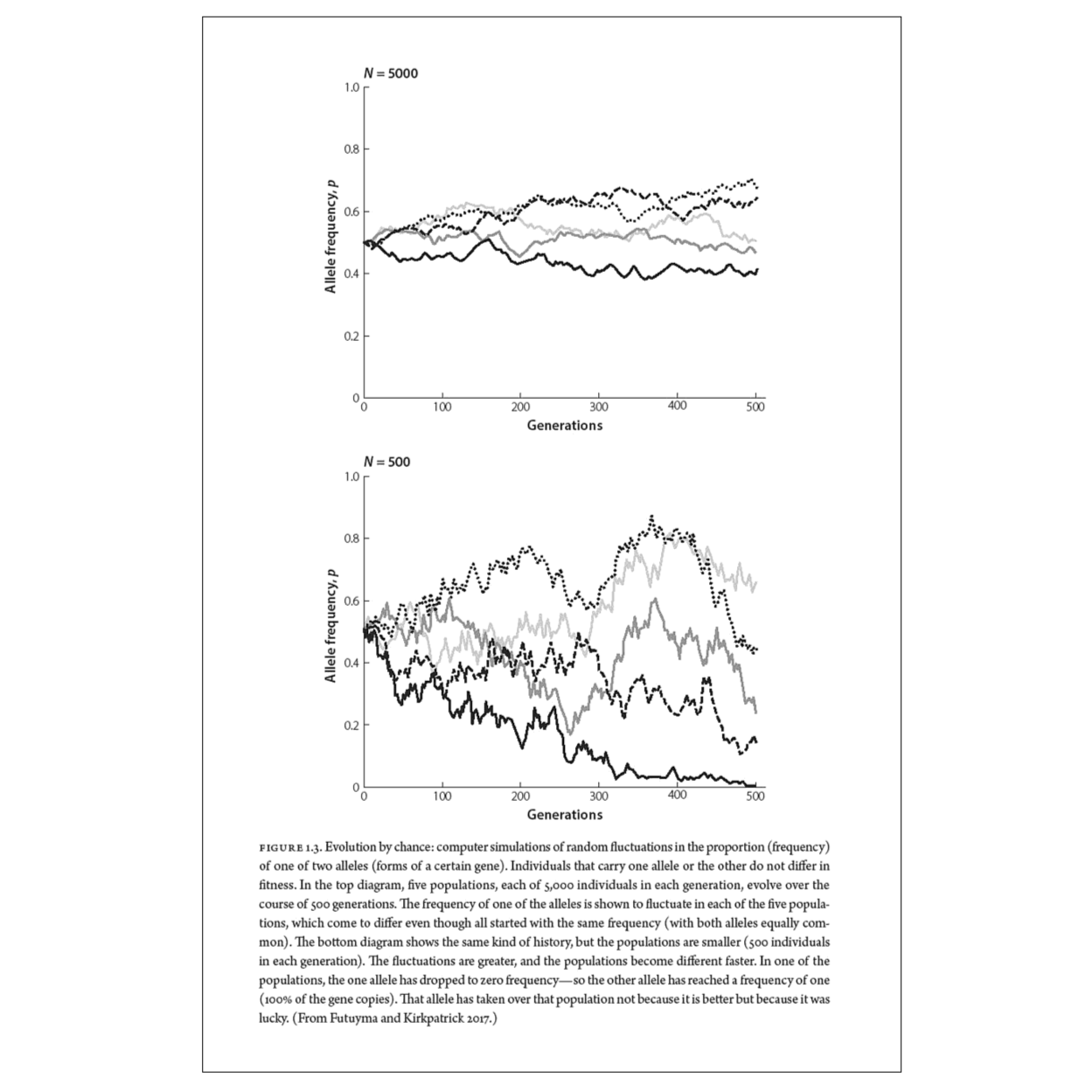 How Birds Evolve What Science Reveals about Their Origin, Lives, and Diversity