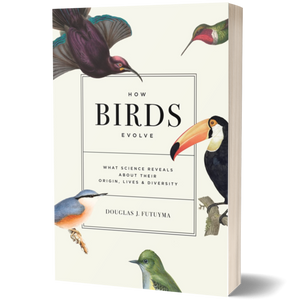 How Birds Evolve What Science Reveals about Their Origin, Lives, and Diversity