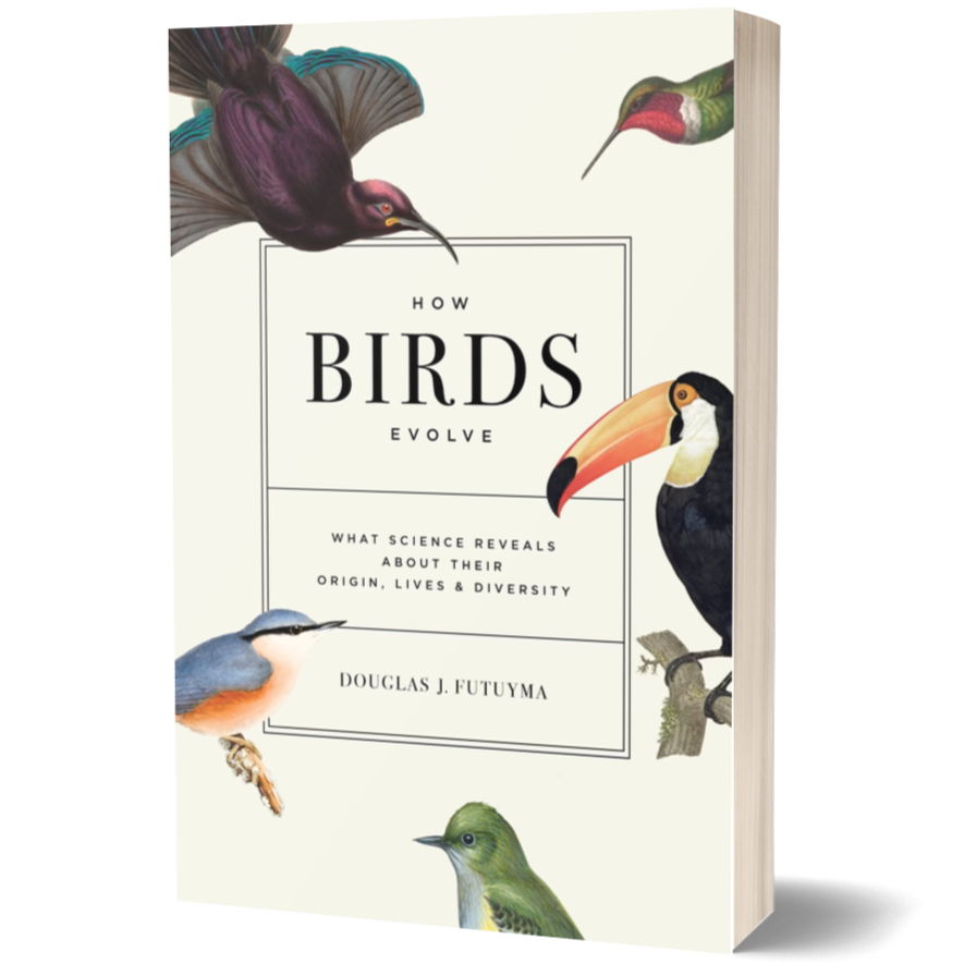 How Birds Evolve What Science Reveals about Their Origin, Lives, and Diversity