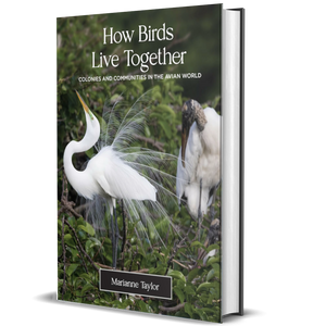 How Birds Live Together: Colonies and Communities in the Avian World