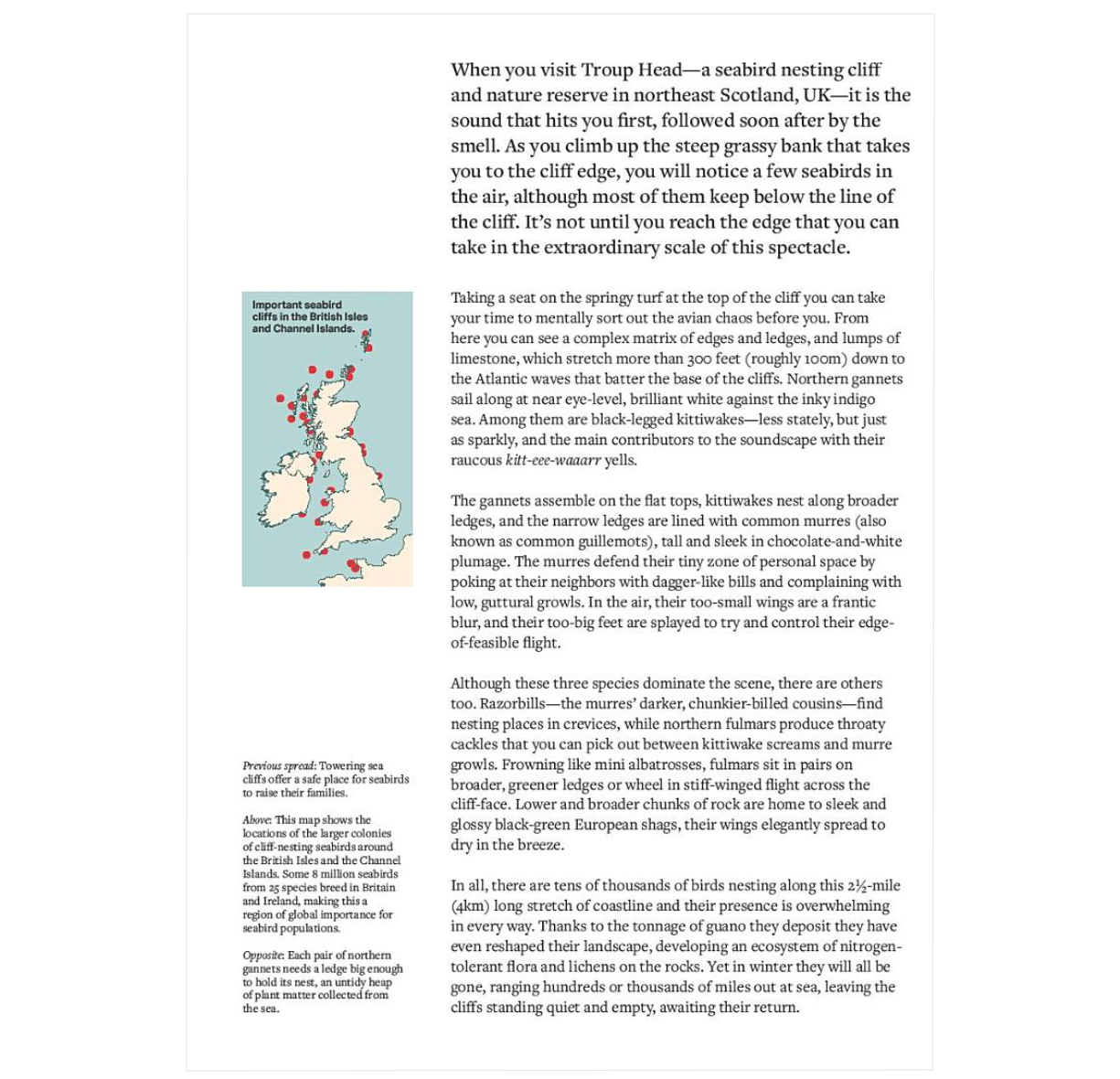 How Birds Live Together: Colonies and Communities in the Avian World