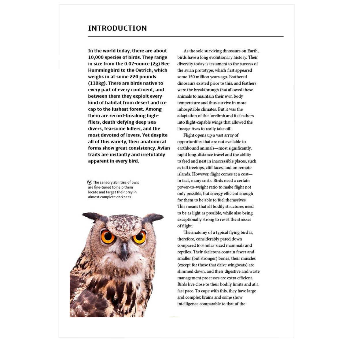 How Birds Work: An Illustrated Guide to the Wonders of Form and Function—from Bones to Beak