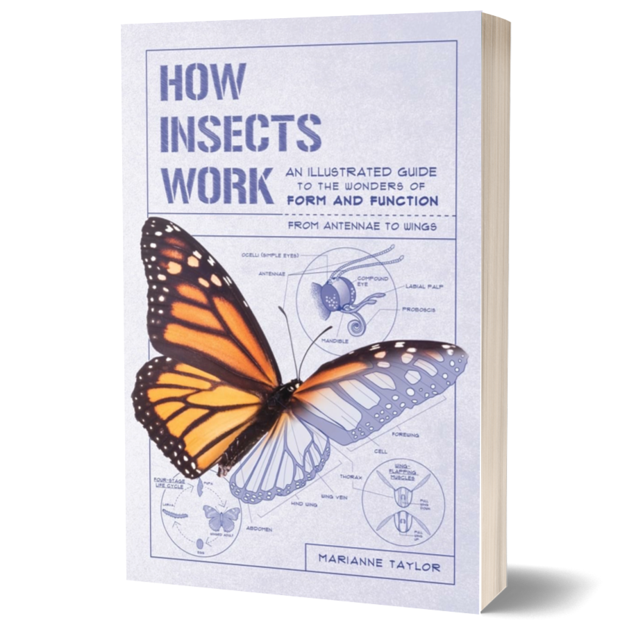 How Insects Work: An Illustrated Guide to the Wonders of Form and Function—from Antennae to Wings (How Nature Works)