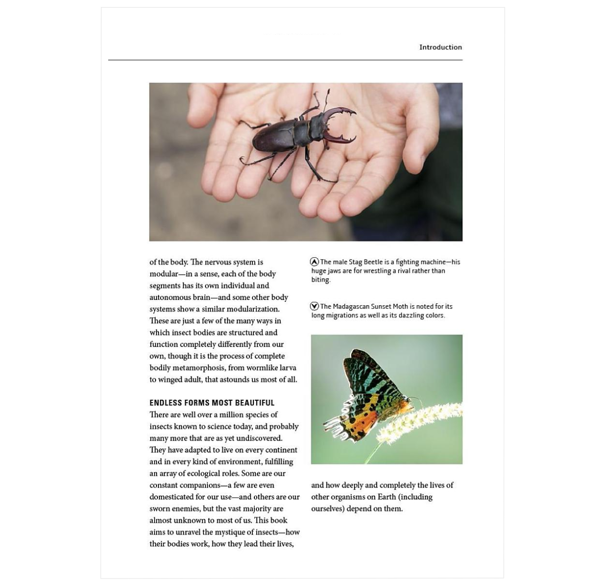 How Insects Work: An Illustrated Guide to the Wonders of Form and Func ...