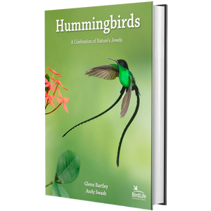 Hummingbirds: A Celebration of Nature's Jewels
